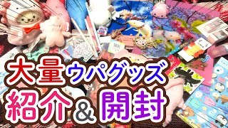 ウーパールーパーグッズを大量購入＆開封！【オーダーメイド】