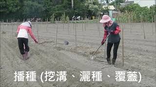 田龜計畫：播種三大超級養生食物ACQ