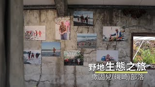 【豐濱】撒固兒(磯崎)部落-野地生態之旅20秒