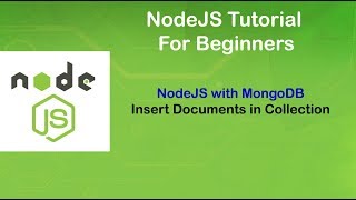 NodeJS Tutorial for Beginners # MongoDB Insert Documents