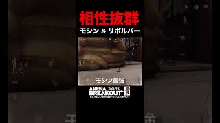 【Arena Breakout】弱いけど相性抜群な武器構成［モシン \u0026 リボルバー］【アリーナブレイクアウト】アリブレ 攻略‼️