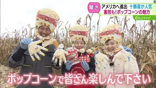 ときめき野菜通信〜サクサクふわふわのポップコーン【どさんこワイド179】2024.10.30放送