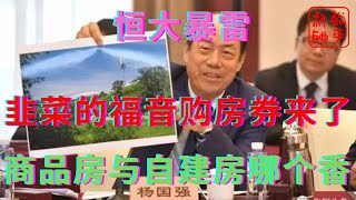 恒大暴雷之韭菜的福音购房券终于来了||商品房与自建房哪个香||躺平叔聊房地产