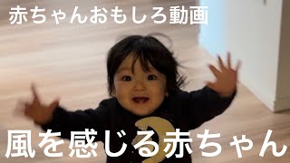 赤ちゃんおもしろ動画♪ドライヤーの風感じる赤ちゃんのリアクションが可愛い【一歳児】