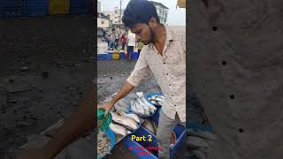 Taloja wholesale fish 🐠 🐟 market #sohrt