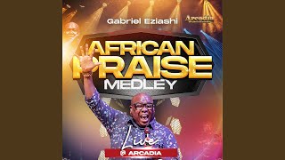 African Praise Medley Live At Arcadia (Live)