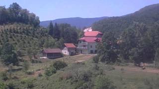 Šljivari 17.7.2012