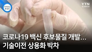 코로나19 백신 후보물질 개발...기술이전 상용화 박차 / YTN 사이언스