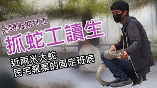 [Ubersnake]Student catch 200CM big snake inTaiwan