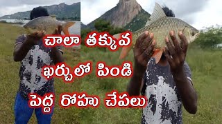 🎣 Best fishing 🐟 Rohu Fish's 🐟🐟🐠 Dam Fishing 🎣 మదనపల్లె