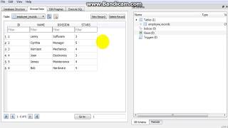 Python SQLite3 Tutorial 4 Using Variables to Insert Data