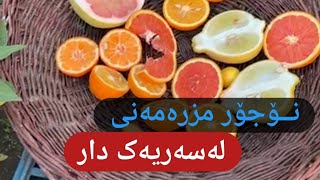 نۆجۆر مزرەمەنی لەسەریەک دار.