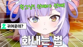 미래의 후배를 생각하며 화내는 연습하는 부키 [텐코 시부키]