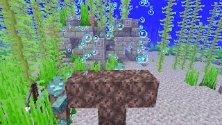 What if you create a wither in water?