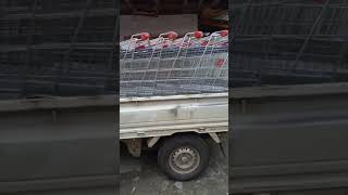 troli supermarket trolley 081334530892