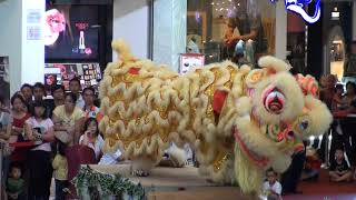 亚庇龙艺南山观音庙龙麒狮团