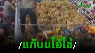 แม่ค้าแก้บน ไอ้ไข่วัดเจดีย์ ด้วยทุเรียนกว่า 6 ตัน | 11-09-62 | ตะลอนข่าว