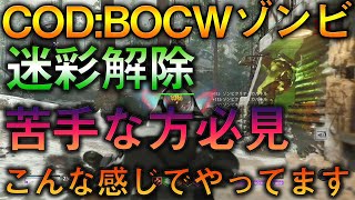 【COD:BOCWゾンビ】難しくて迷彩解除が出来ない？倒すタイミングだけ考えれば簡単！！