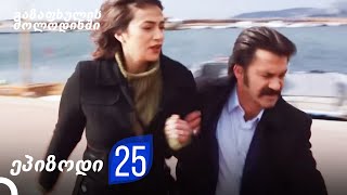 გაზაფხულის მოლოდინში 25. სერია