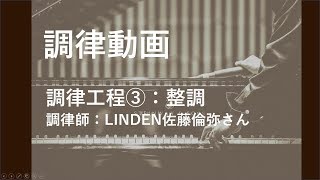 ピアノ調律③整調　調律師LINDEN佐藤倫弥さんに調律をお願いしてみた