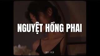 Nguyệt Hồng Phai - HUY TK x NH4T x PHA x Quanvrox「Lo - Fi Ver」/ Official Lyrics Video