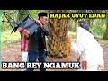 BANG REY LAMPUNG DAN BUNG LAGA HAJAR UYUT NOTOROGO DAN SUPENG