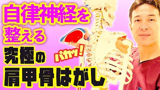 【Improvement of dysautonomia】The ultimate scapula stretch.