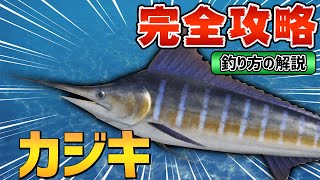 【あつ森】カジキの魚影・出現条件・釣り方のコツ徹底解説【図鑑付き】