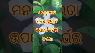 ସମସ୍ତ ଜ୍ଞାନ ମନର ସ୍ଥିରତା ଉପରେ ନିର୍ଭର କରେ।#motivational #shorts