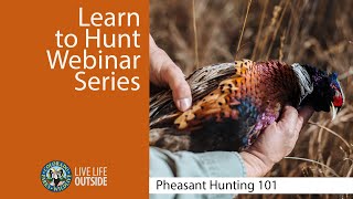 Pheasant Hunting 101 - Learn to Hunt Webinar Series