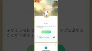 メラルバGETを目指して残りたまご４つ。頼むから孵化してくれー！ #ポケモン #ポケモンgo #pokemon #pokmongo #メラルバ #たまご孵化