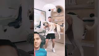 Dog #challenge #funny #doglover #funny #duet #shorts #youtube #youtubeshorts