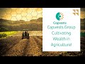 Capvests Group: Cultivating Wealth in Agriculture