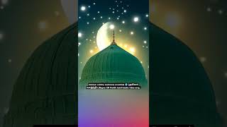 Akkilam valthita mahimmai siranthida 🌍 (அகிலம் வாழ்ந்திட)Nagoor EM Hanifa tamil islamic video song..