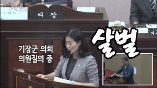 부산 기장군수 왜 고함을 지른걸까? [지방자치의 날 특집 예고] 자치는 미래다 ㅣ KBS방송