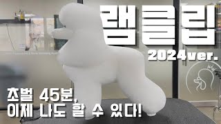 한국애견협회 3급 램클립 초벌 2024ver. (feat. 흑조 루디빈 애견미용복)