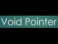 18  Void Pointer