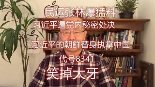 笑掉大牙！民运“张林”爆料：习近平遭处决，习的朝鲜替身执掌中国！离谱到天际。莎沙生意来了