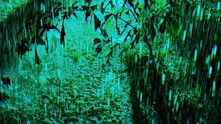 밤에 열대 우림의 폭우 및 강력한 천둥 소리 | 숙면을 위한 빗소리, 휴식
