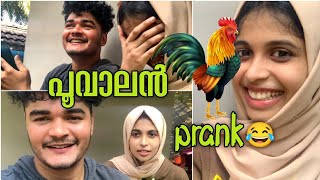 I LOVE you😂പൂവാലൻ prank💥