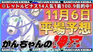 【11月6日日曜日平場予想】\