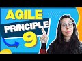 Agile Principle #9 - Technical excellence