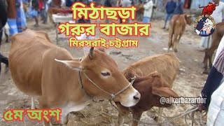 মিঠাছড়া গরুর বাজার। মিরসরাই,চট্টগ্রাম। ২৫/০১/২৪ । ৫ম অংশ।#আজকেরবাজারদর