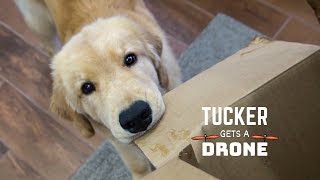 Tucker Gets a Drone