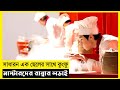 Kungfu Chef Movie Explain In Bangla|Korean|Drama|The World Of Keya