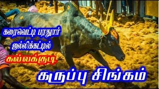 கல்லக்குடி கருப்பு சிங்கம் காளை கரைவெட்டி பரதூர் ஜல்லிக்கட்டில் karaivetti jallikattu