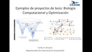 Ejemplos de proyectos de tesis: Biologia Computacional