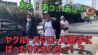 ヤクルトスワローズオープン戦。あっ！選手にばったりびっくり。やっぱり気になる今日のコブシ球場w(2022年3月15日)