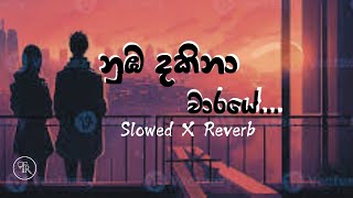 Numba dakina waraye | නුඹ දකිනා වාරයේ | Slowed Reverb song - Maduu Shanka #slowedreverb#manoparakata