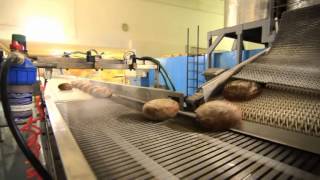 Kornfeil - Automatic deck oven line with Asistent Super machine - Unloading